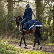 Stapmolen en uitrijdekens