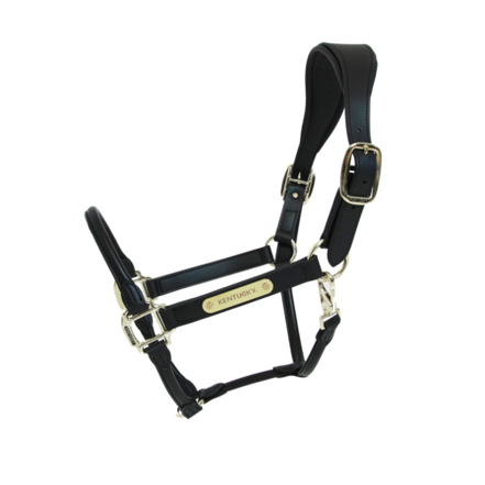 Kentucky Anatomische Leder Halster