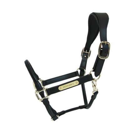 Kentucky Anatomische Leder Halster
