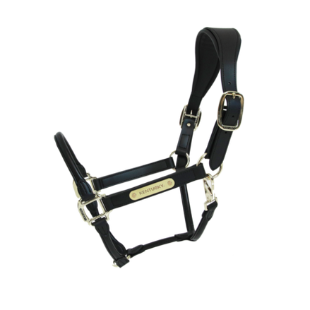 Kentucky Anatomische Leder Halster