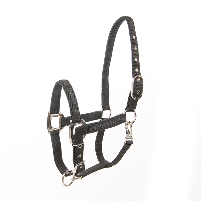 Lami-Cell Headcollar Galaxy