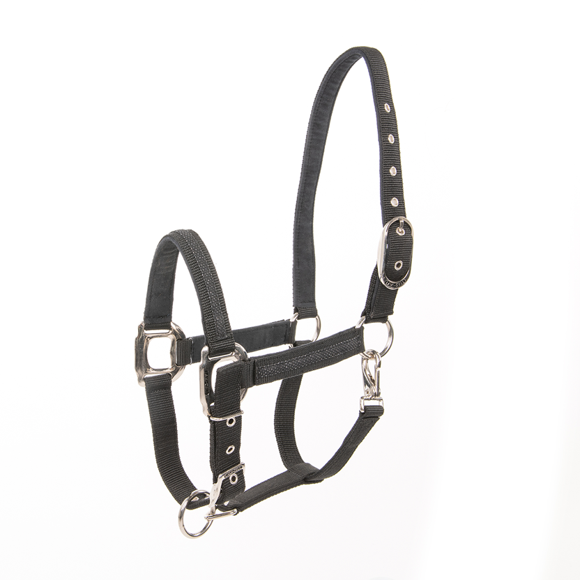 Lami-Cell Headcollar Galaxy
