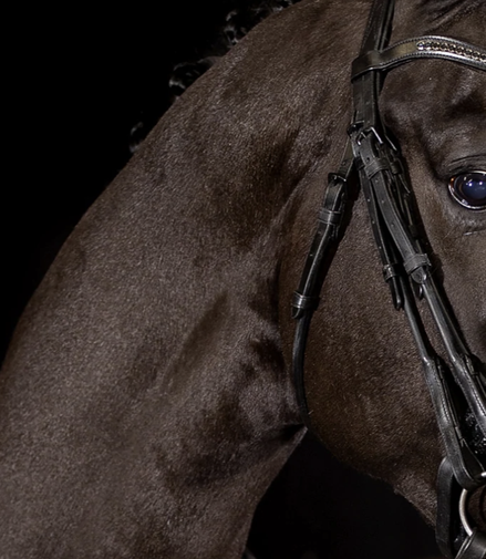 Mrs. Ros Rondgenaaide bakstukken Black Cob