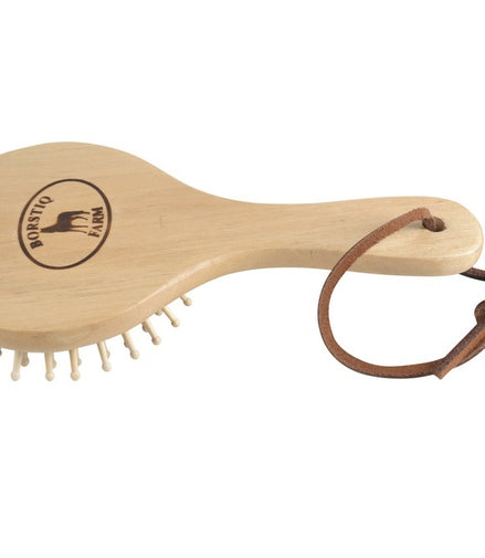 Borstiq Manen en staartborstel