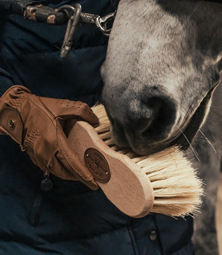 Borstiq "Infini" cactus/hair Borstel Zacht