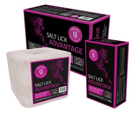Equisalt Lick Stone Salt Advantage