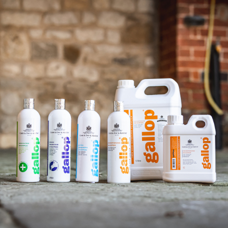 Carr&Day&Martin Gallop Fleckenentfernungsshampoo 500ml