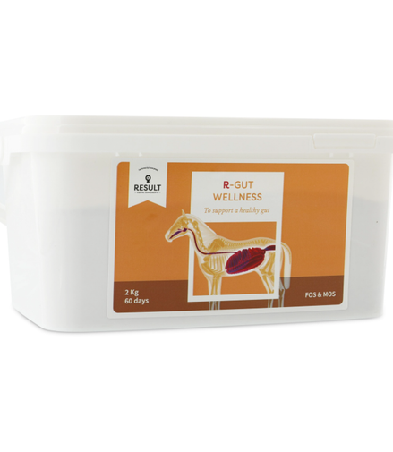Result Equine R – Gut Wellness 2kg