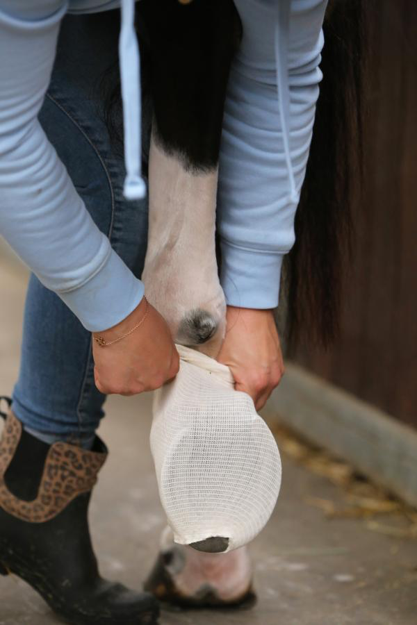 Kentucky Tendon grip kous beige