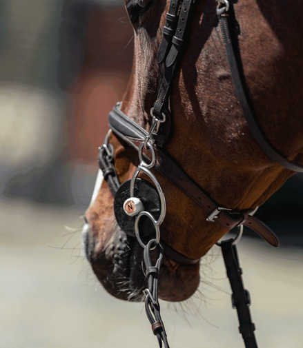 Nathe 3-Ring bit with flexible Mullen Mouth