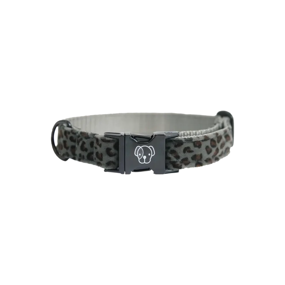 Kentucky Dog Collar Leopard