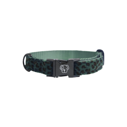 Kentucky Dog Collar Leopard
