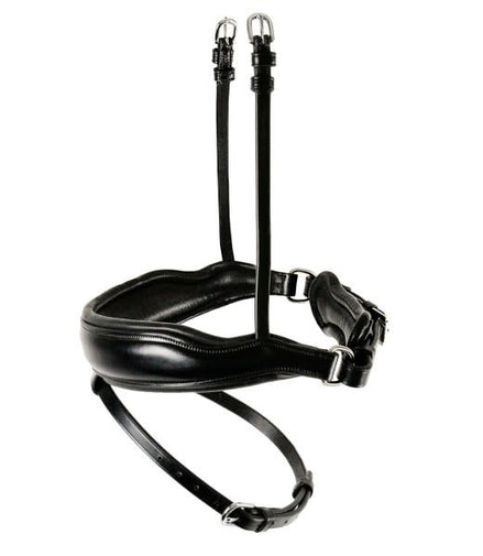 Schockemöhle Neusband Stanton