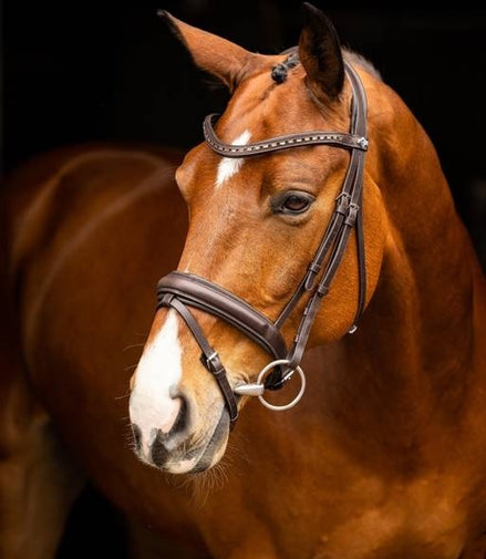 LeMieux Arika Dressage Hoofdstel