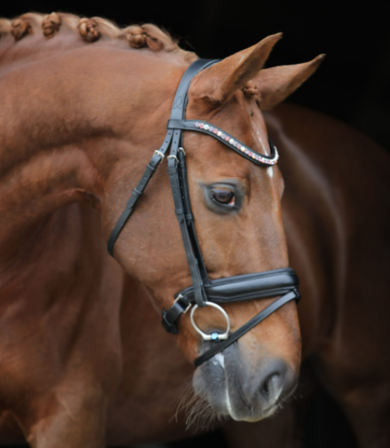 LJ Leathers Hoofdstel Brownie Aansnoerneusriem