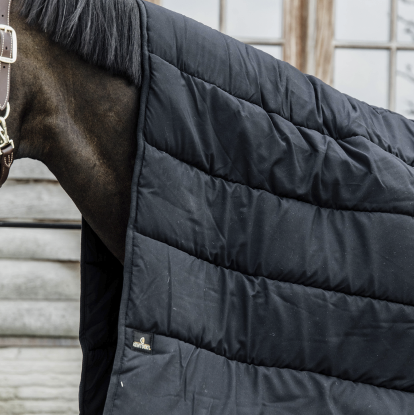 Kentucky Horse Duvet