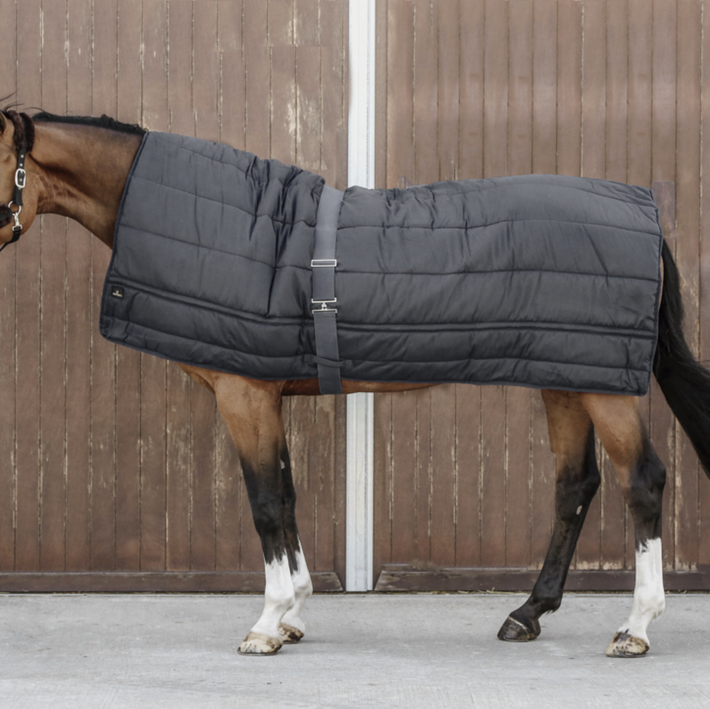 Kentucky Horse Duvet