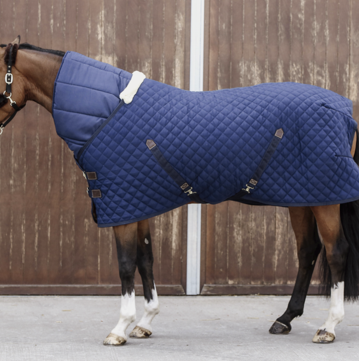 Kentucky Horse Duvet