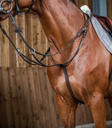 Dy'on Running Martingale - Working Collection