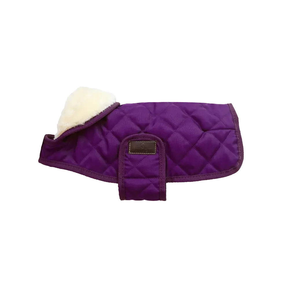 Kentucky Regenjas Hond Paars