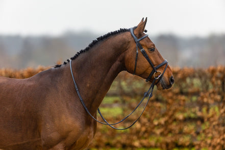 Trust Amsterdam Combined Noseband Hoofdstel Anatomic