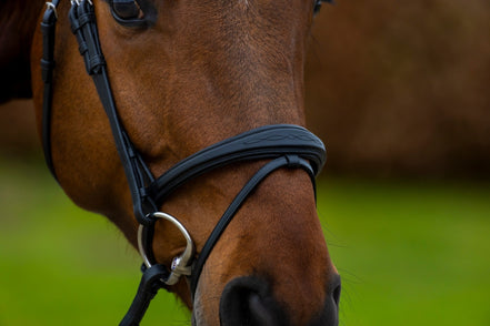 Trust Amsterdam Combined Noseband Hoofdstel Anatomic