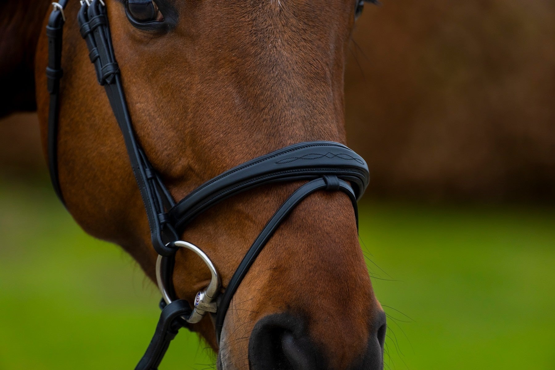 Trust Amsterdam Combined Noseband Hoofdstel Anatomic