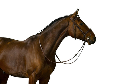 Trust Amsterdam Combined Noseband Hoofdstel Anatomic