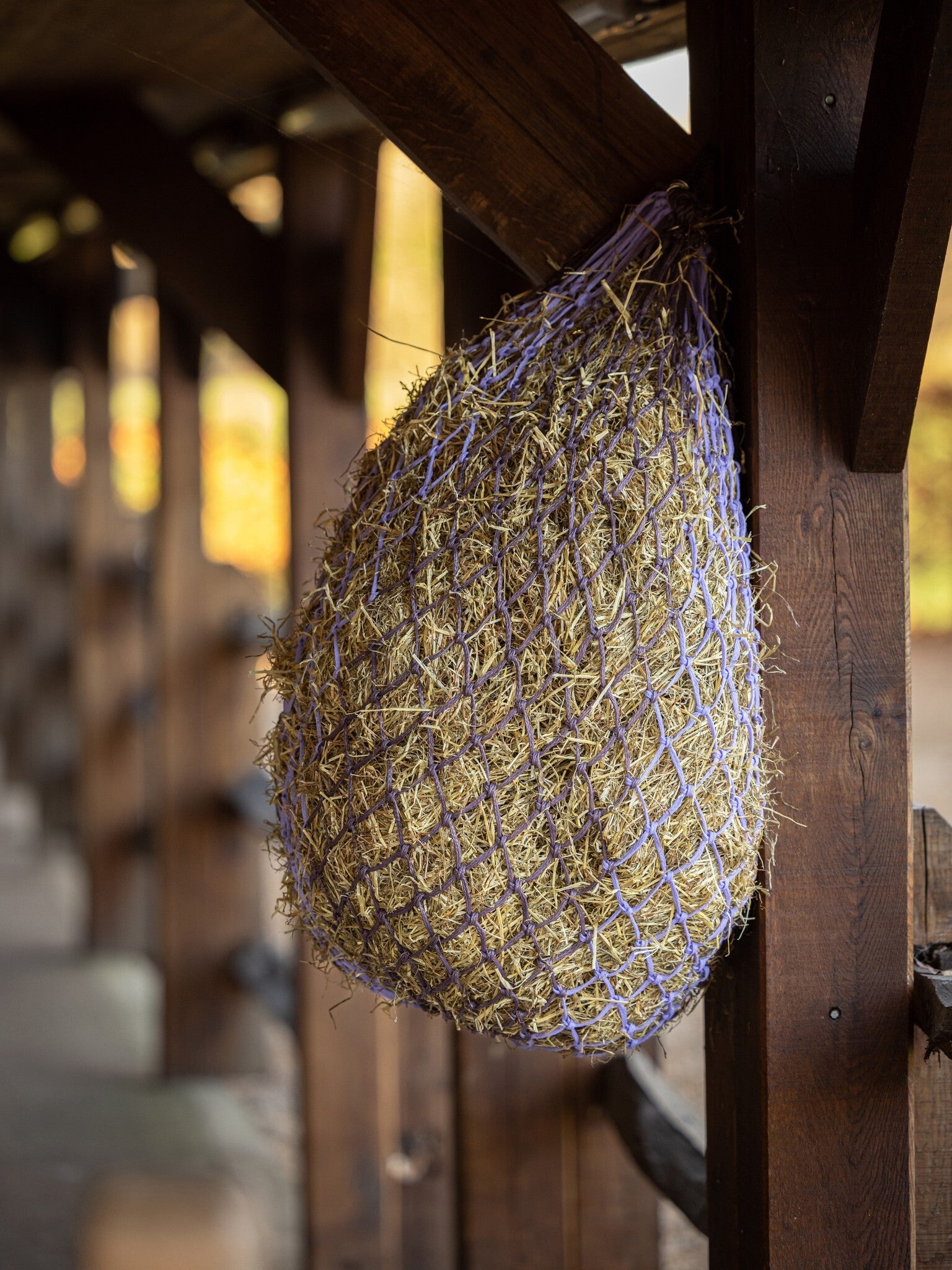 LeMieux Hippo Hooinet