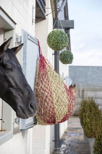 LeMieux Hippo Hooinet