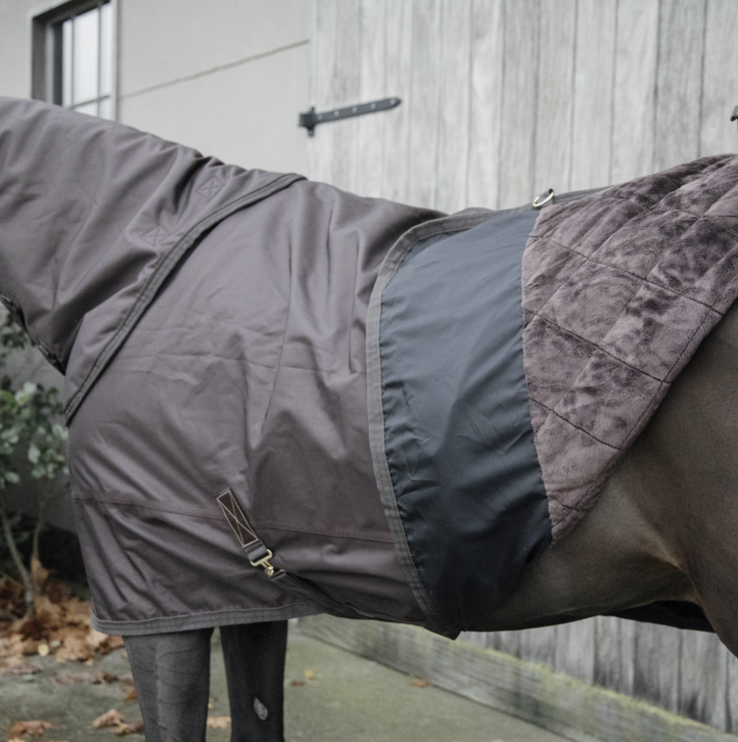 Kentucky Turnout All Weather Waterdicht Pro - Limited Edition