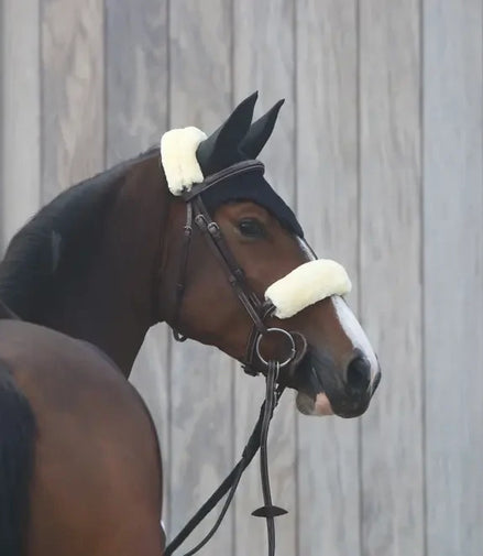 Kentucky Earnet Black