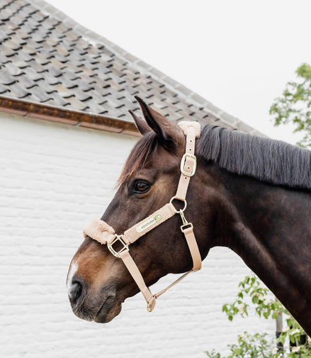 Kentucky Teddy Fleece Halster