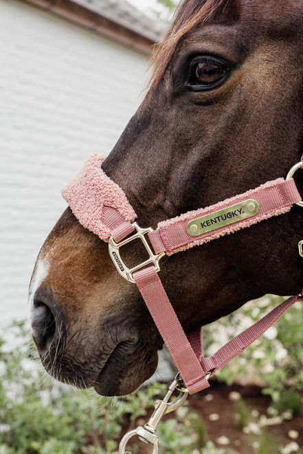Kentucky Teddy Fleece Halster