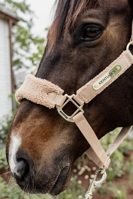 Kentucky Teddy Fleece Halster