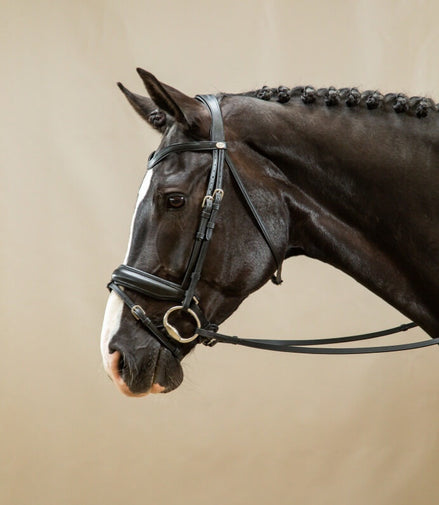 Dy'on Matte Large Crank Noseband With Flash - Working