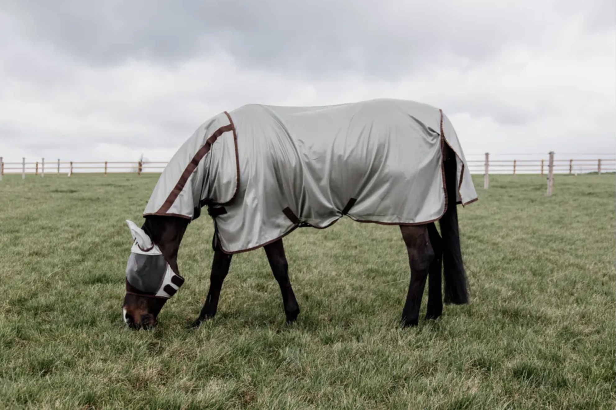 Kentucky Mesh Vliegendeken Classic Silver