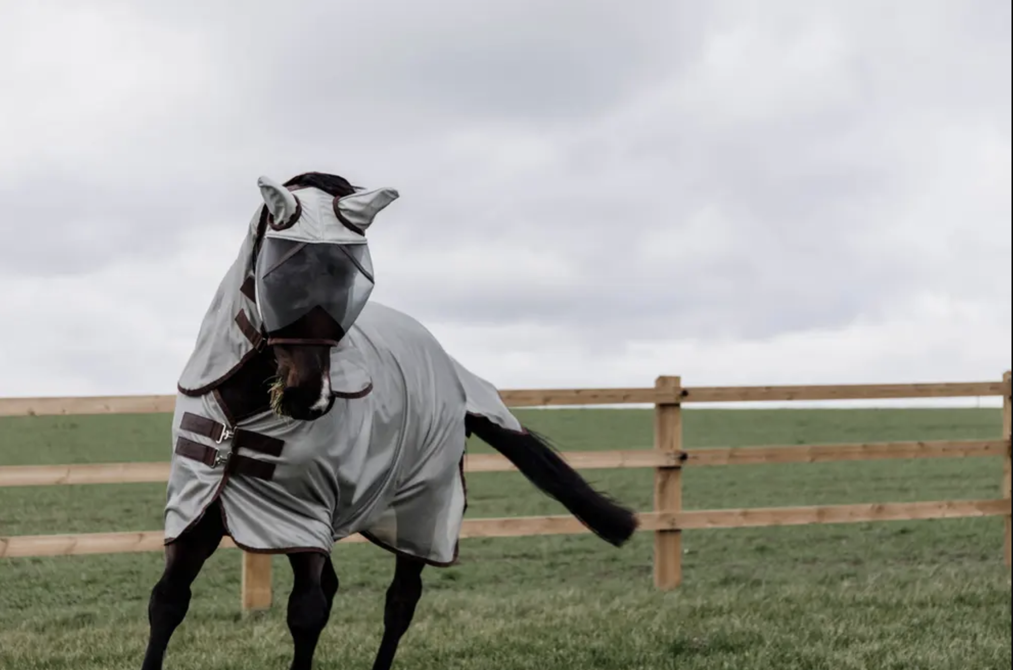 Kentucky Mesh Vliegendeken Classic Silver