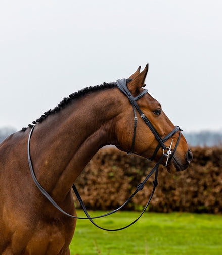 Trust Geneva Combined Noseband Hoofdstel