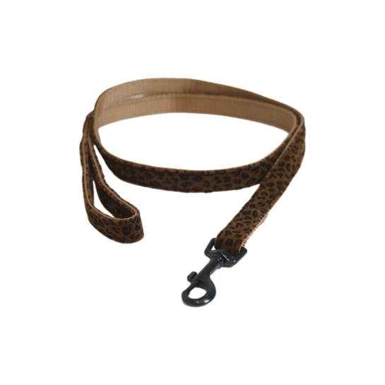 Kentucky Dog Leash Leopard