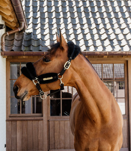 Kentucky Nylon Sheepskin Halter Soft
