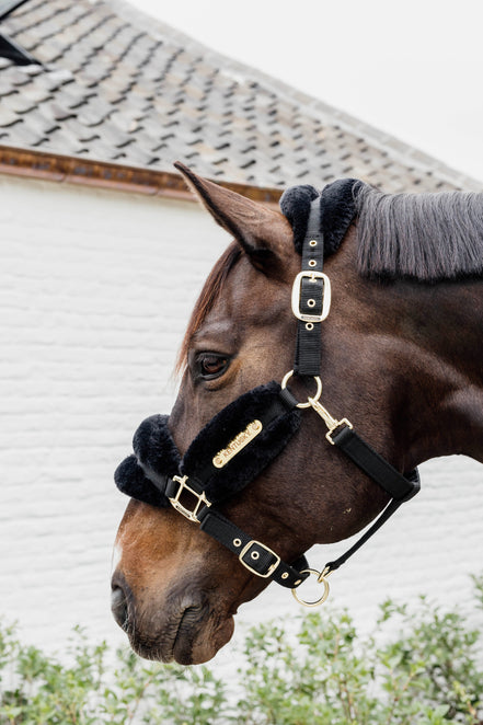Kentucky Nylon Sheepskin Halter Soft