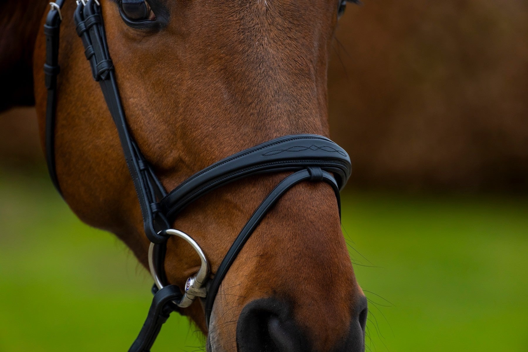 Trust Amsterdam Combined Noseband Hoofdstel Anatomic