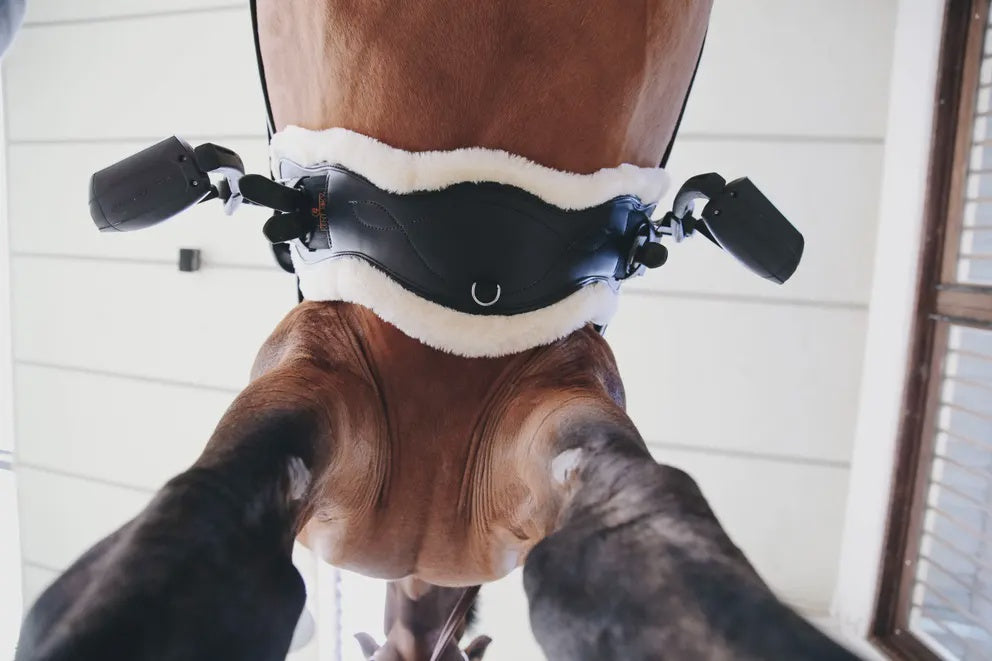 Kentucky Sheepskin Anatomische Singel Kort