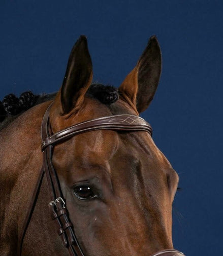 Dy'on Anatomic Browband Hunter
