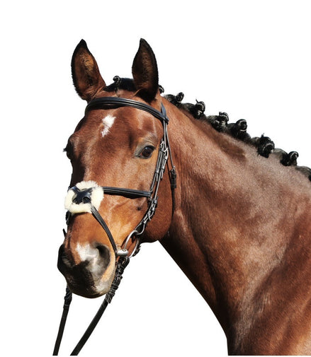 Euroriding Hoofdstel Paris Padded Head PC Mexican Noseband