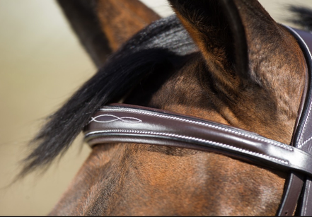 HFI Elegant Hoofdstel