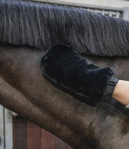 Kentucky Wool Polishing Glove