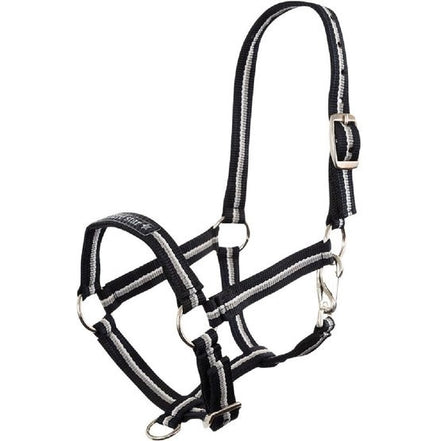 Premiere Veulenhalster Fun