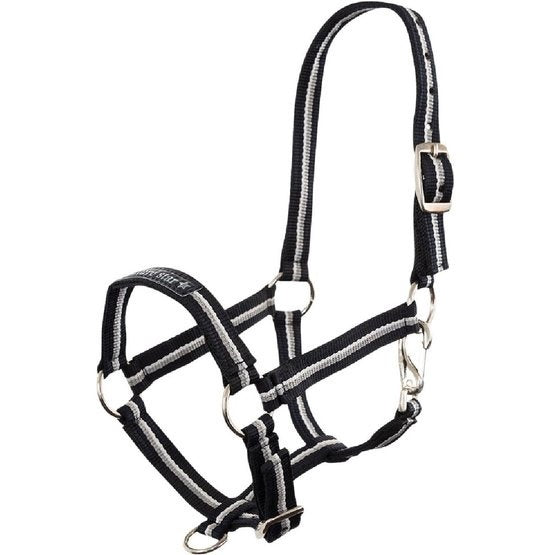 Premiere Veulenhalster Fun